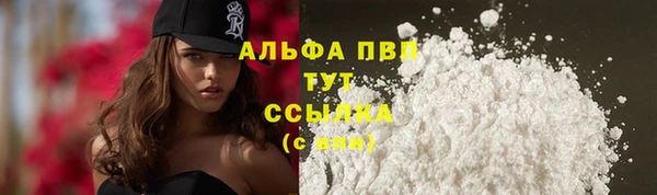 дурь Тавда