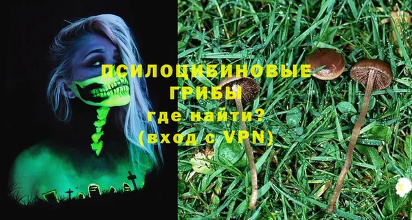 молекула духа Алексин