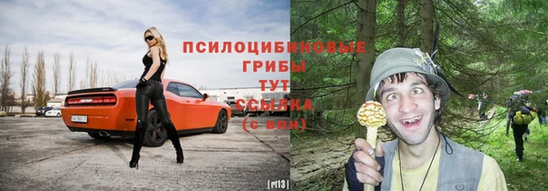 прущий лед Тайга